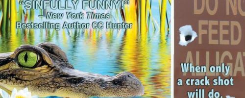 Miss Fortune Mysteries, Humorous, Cozy Mystery